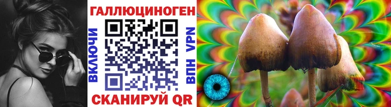Псилоцибиновые грибы мицелий Красноуральск