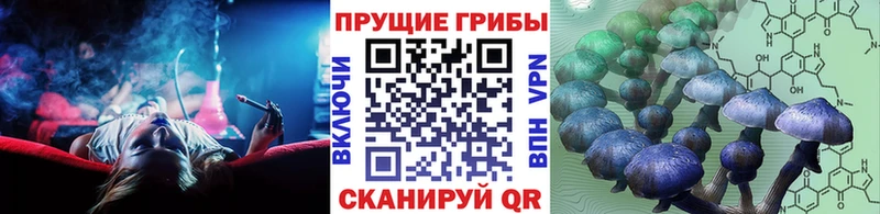 наркота  Красноуральск  Галлюциногенные грибы Magic Shrooms 
